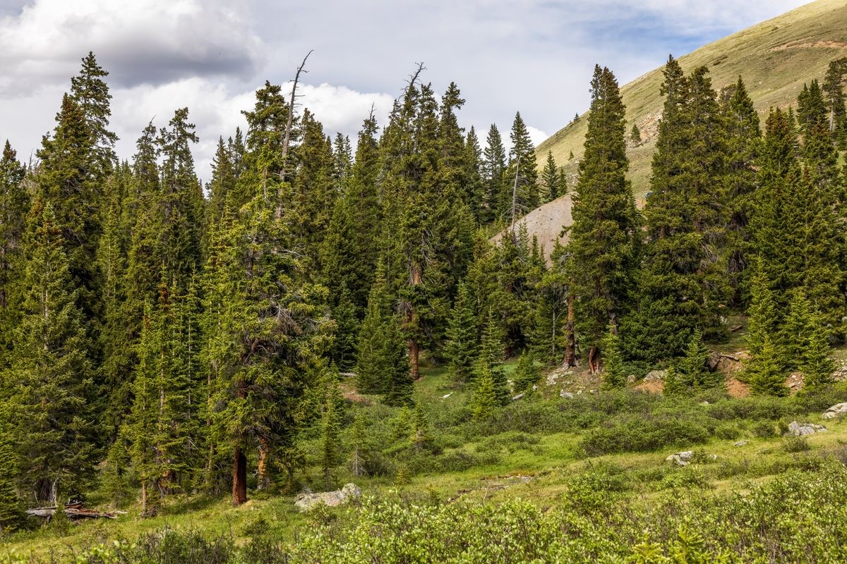 Tbd Saints Johns Road Montezuma CO 80435