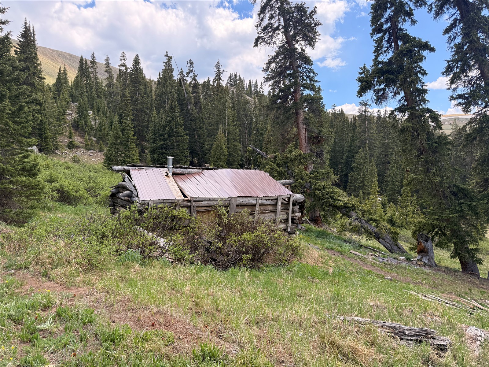 Tbd Saints Johns Road Montezuma CO 80435