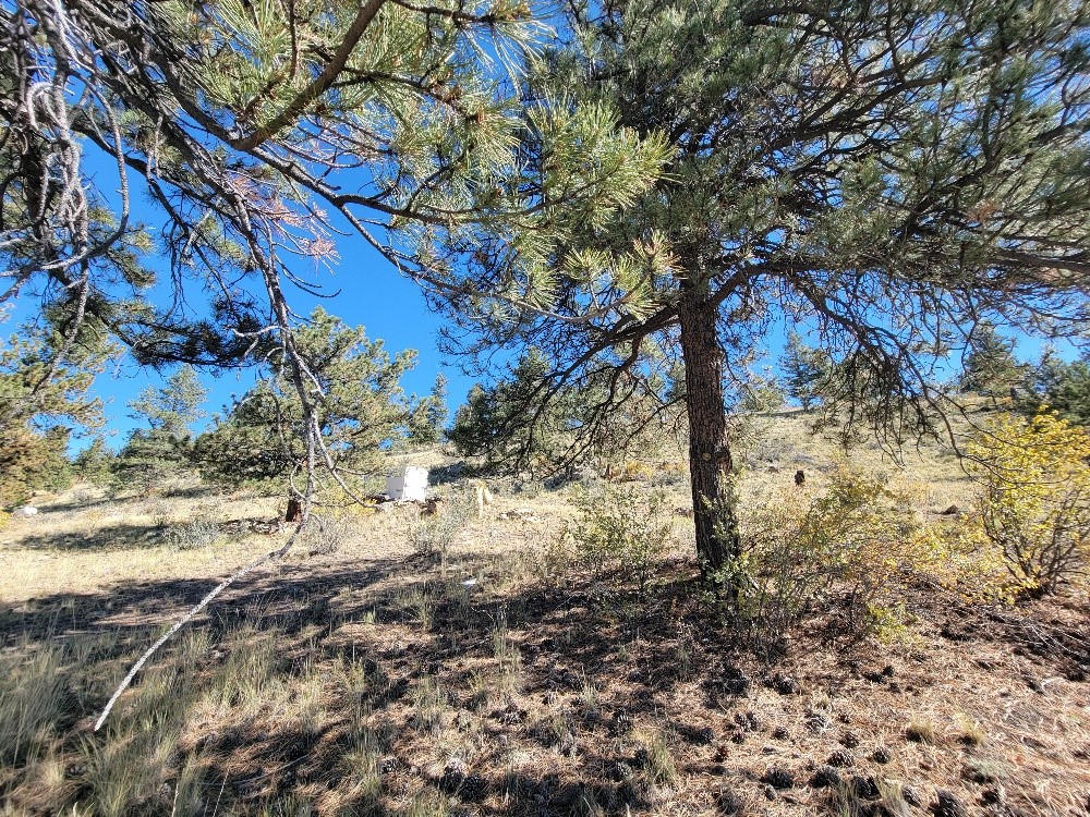 460 Bonell Drive Fairplay CO 80440