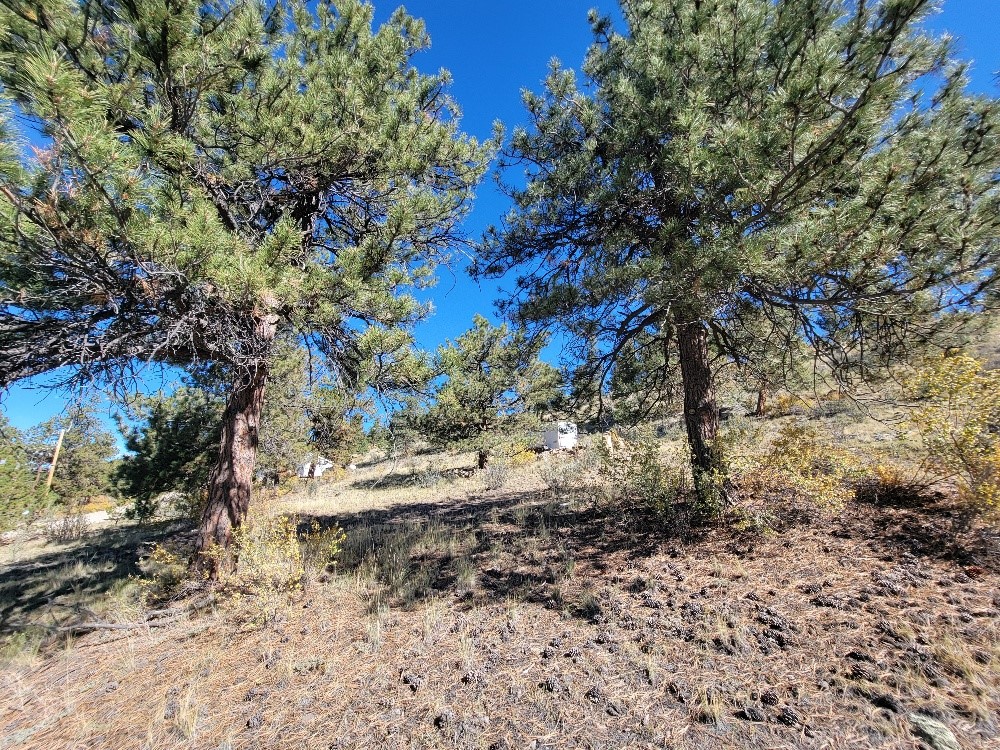 460 Bonell Drive Fairplay CO 80440