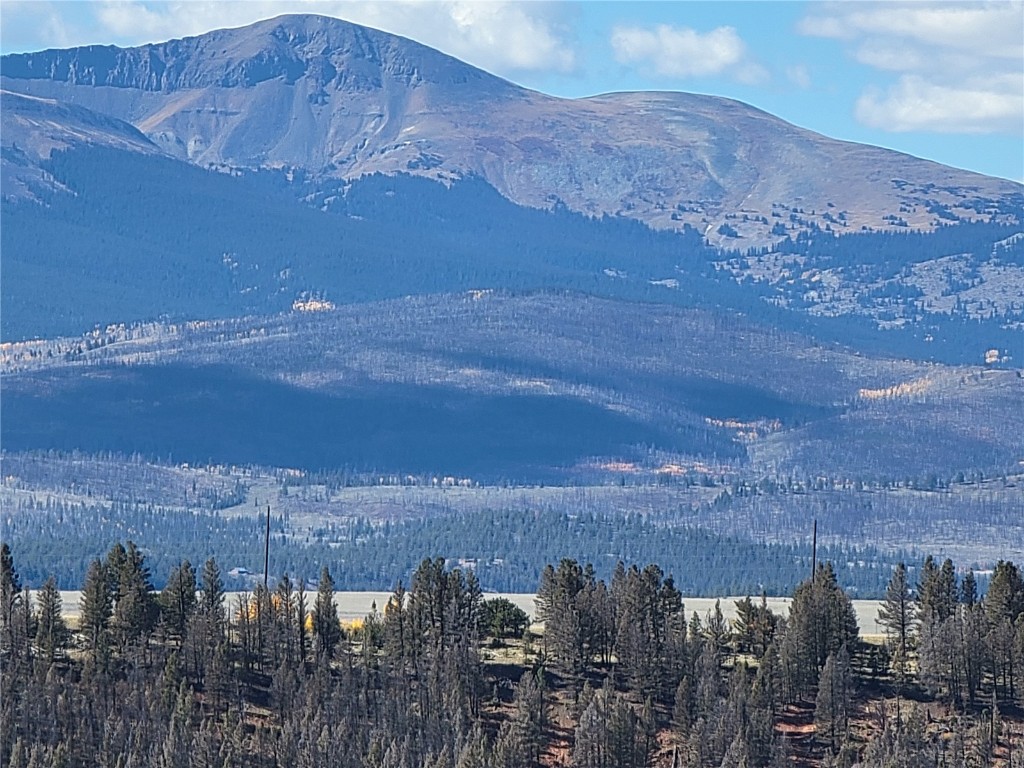 460 Bonell Drive Fairplay CO 80440