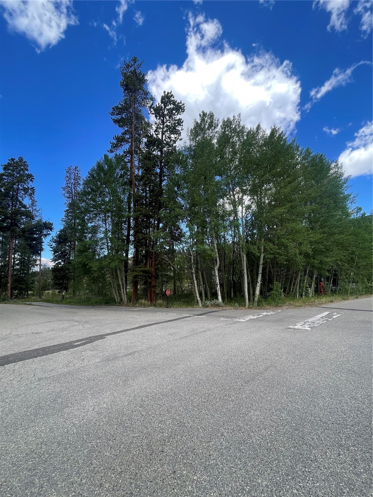 96 Elk Crossing Lane Keystone CO 80435