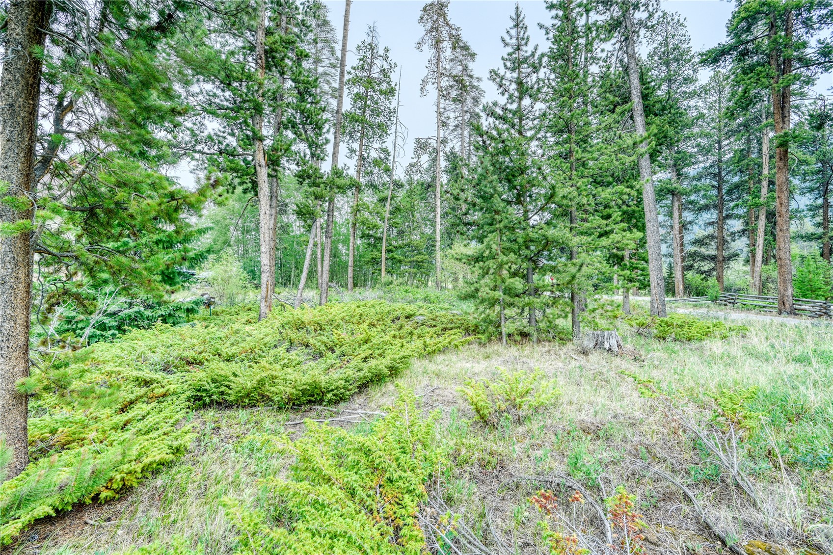96 Elk Crossing Lane Keystone CO 80435