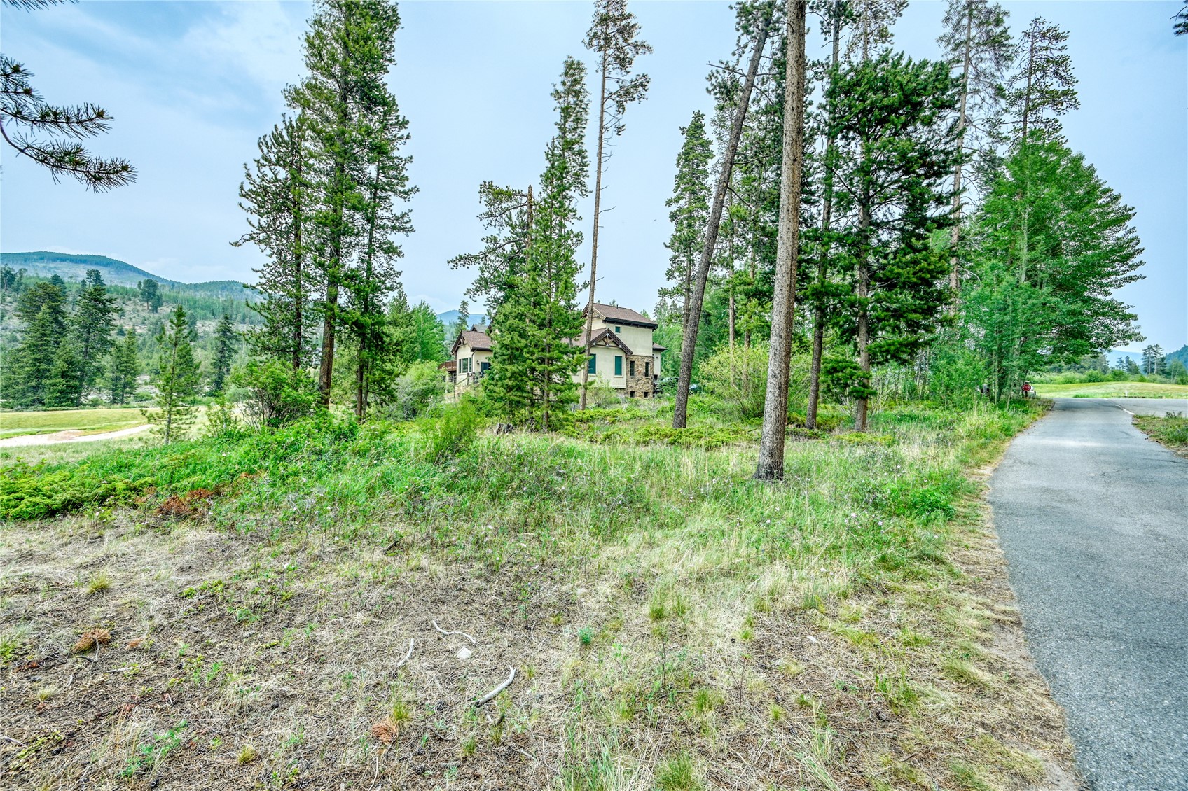 96 Elk Crossing Lane Keystone CO 80435