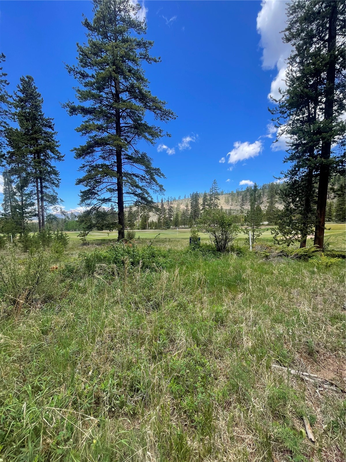 96 Elk Crossing Lane Keystone CO 80435