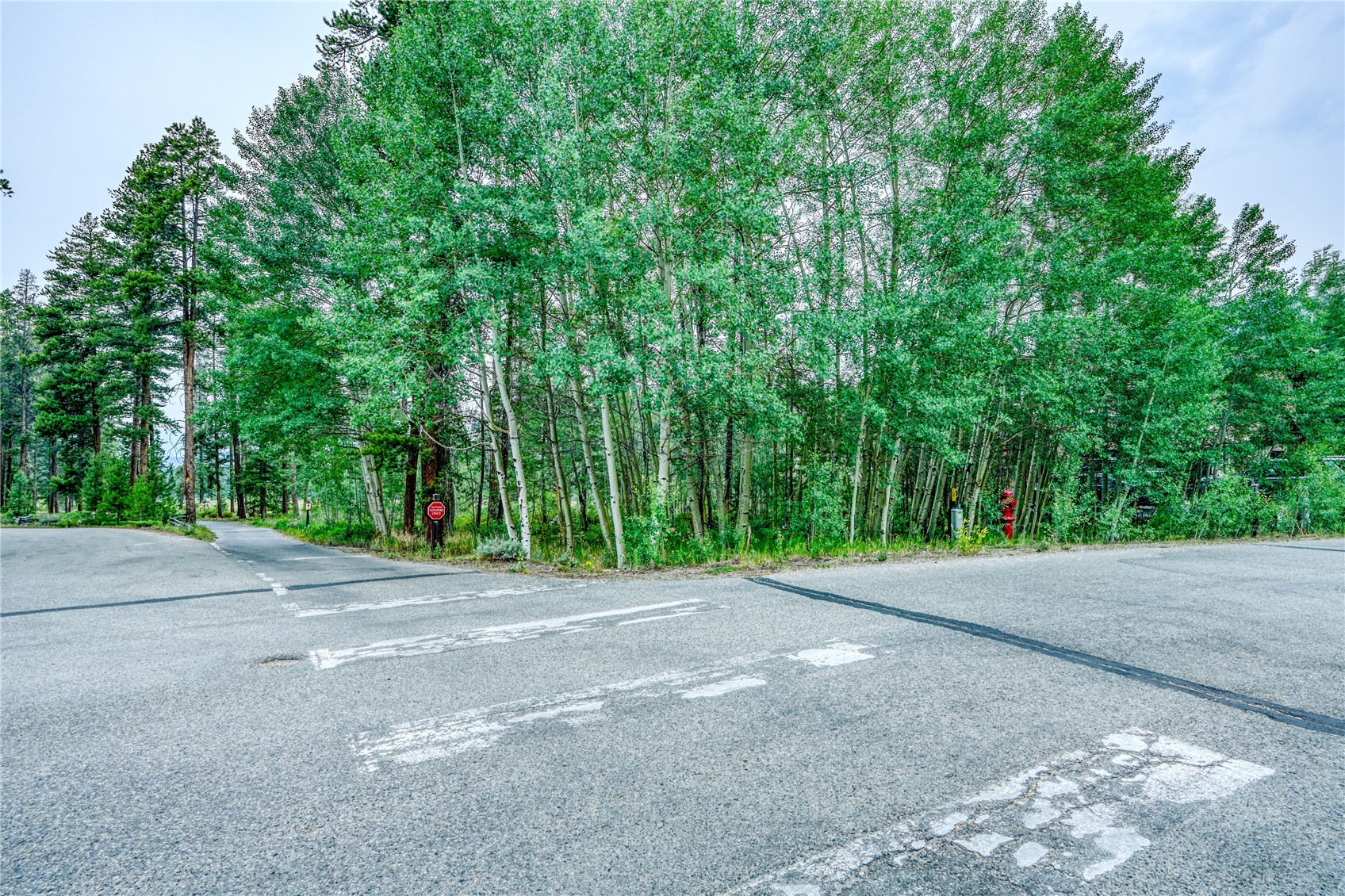 96 Elk Crossing Lane Keystone CO 80435