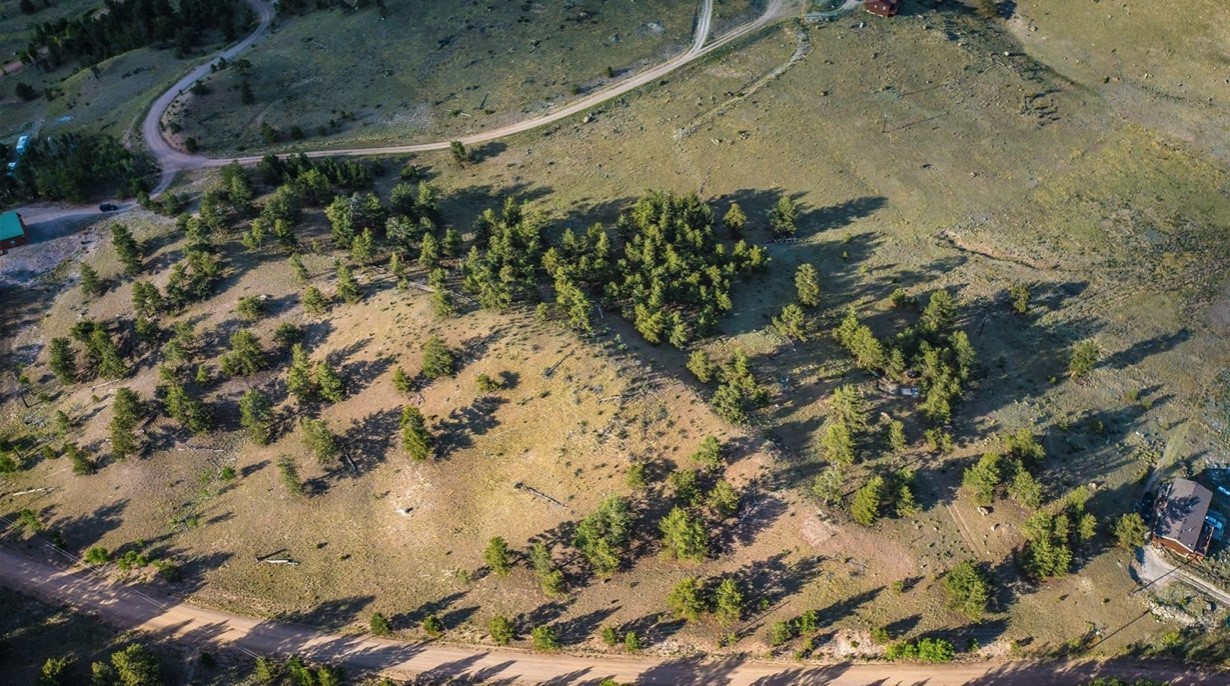 1300 Bridle Path Hartsel CO 80449