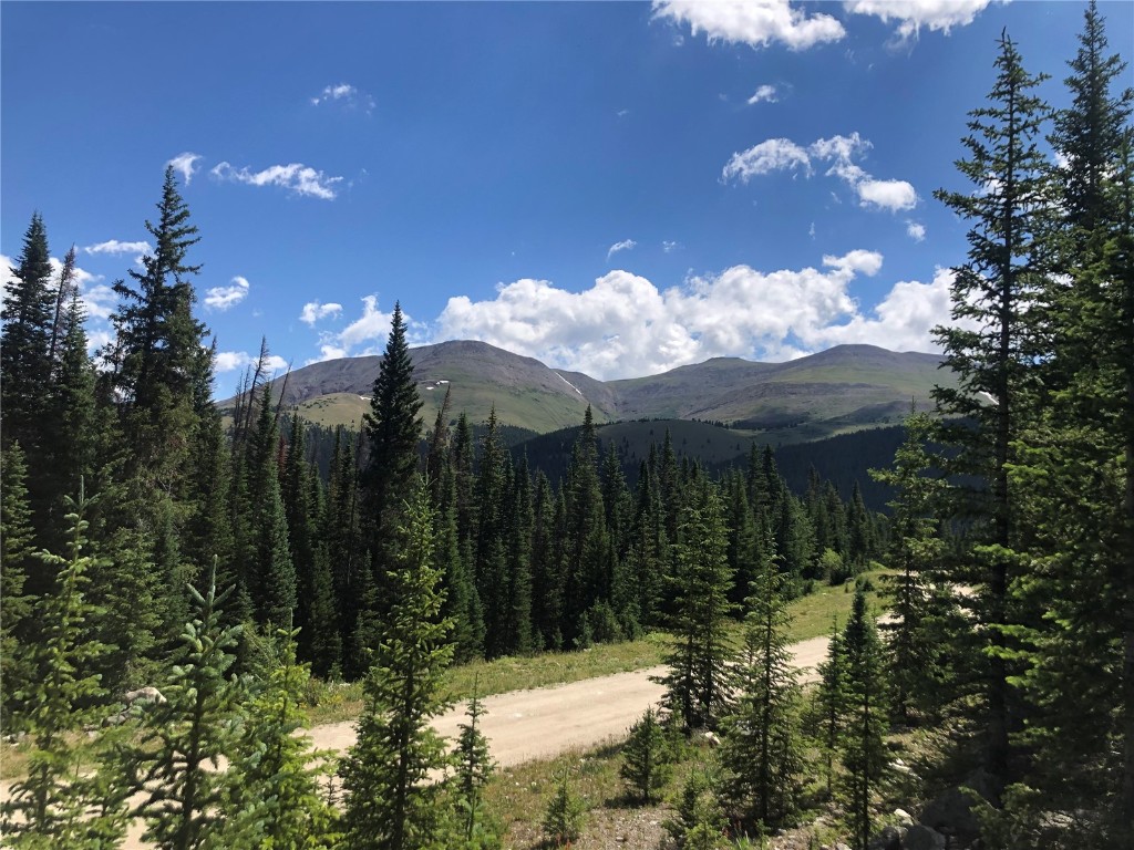 299 Cr 805 Breckenridge CO 80424
