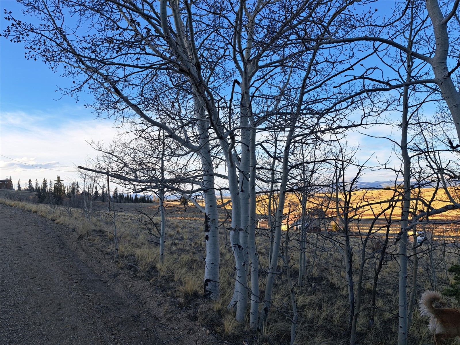 541 War Lane Como CO 80432