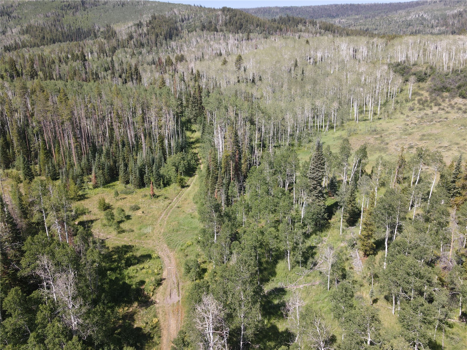 Tbd Rowel Trail Oak Creek CO 80467