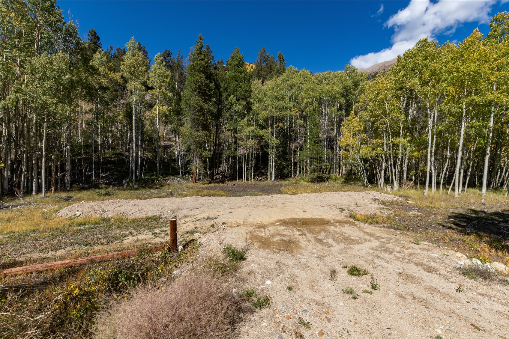 10575 Co-82 Twin Lakes CO 81251