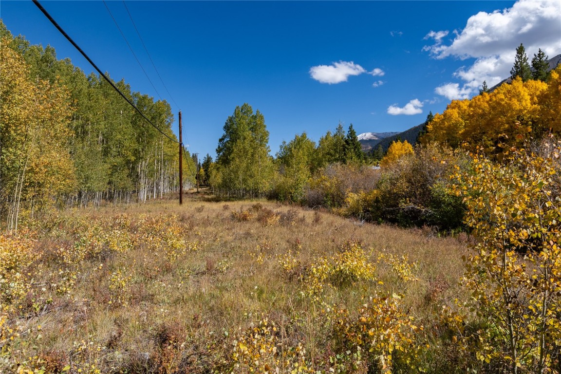 10575 Co-82 Twin Lakes CO 81251