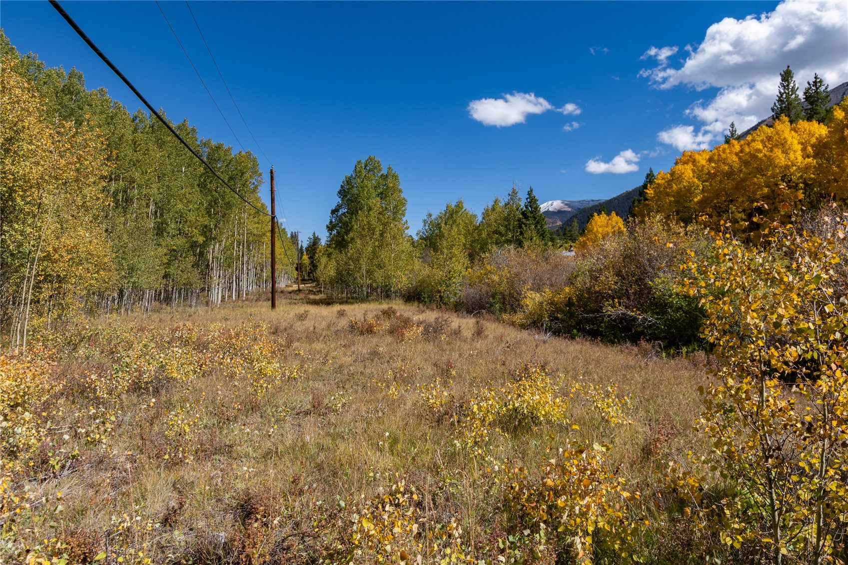 10575 Co-82 Twin Lakes CO 81251