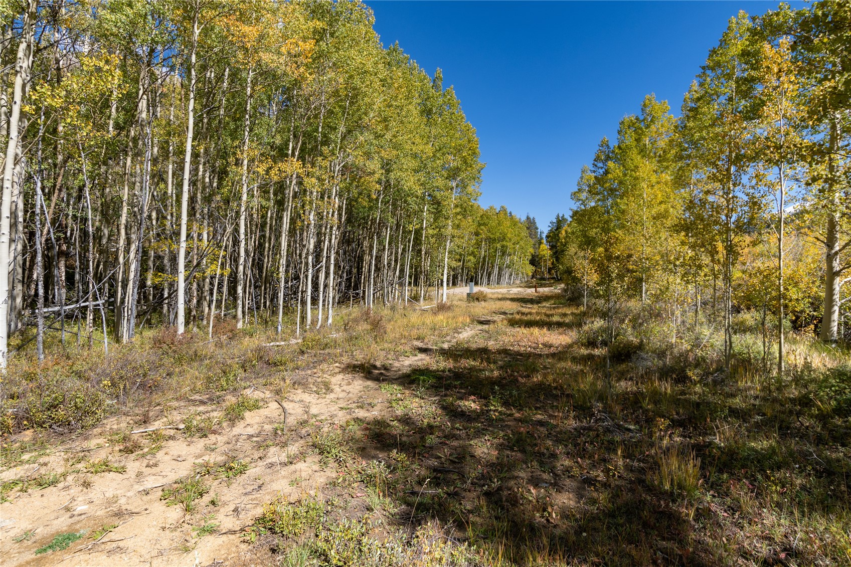 10575 Co-82 Twin Lakes CO 81251