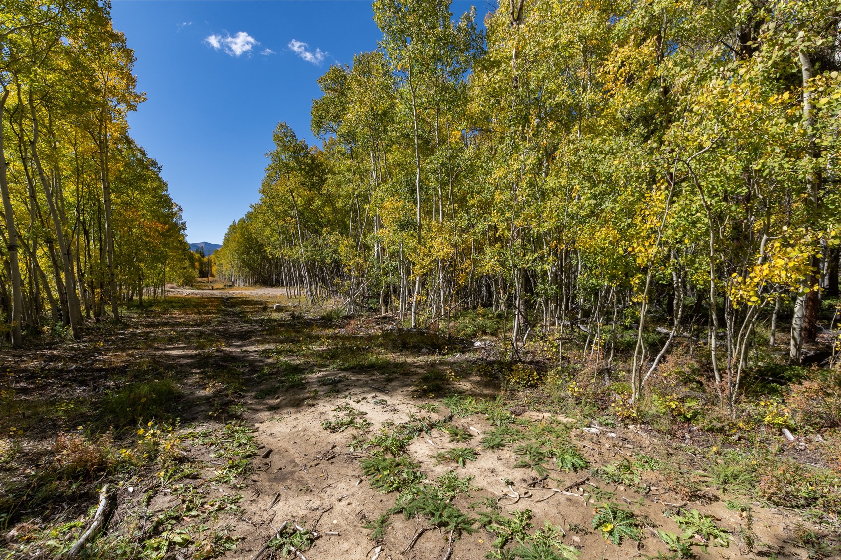 10575 Co-82 Twin Lakes CO 81251