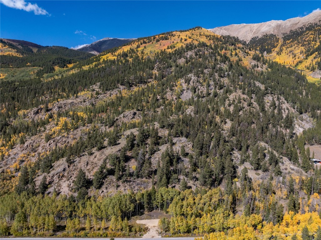 10575 Co-82 Twin Lakes CO 81251
