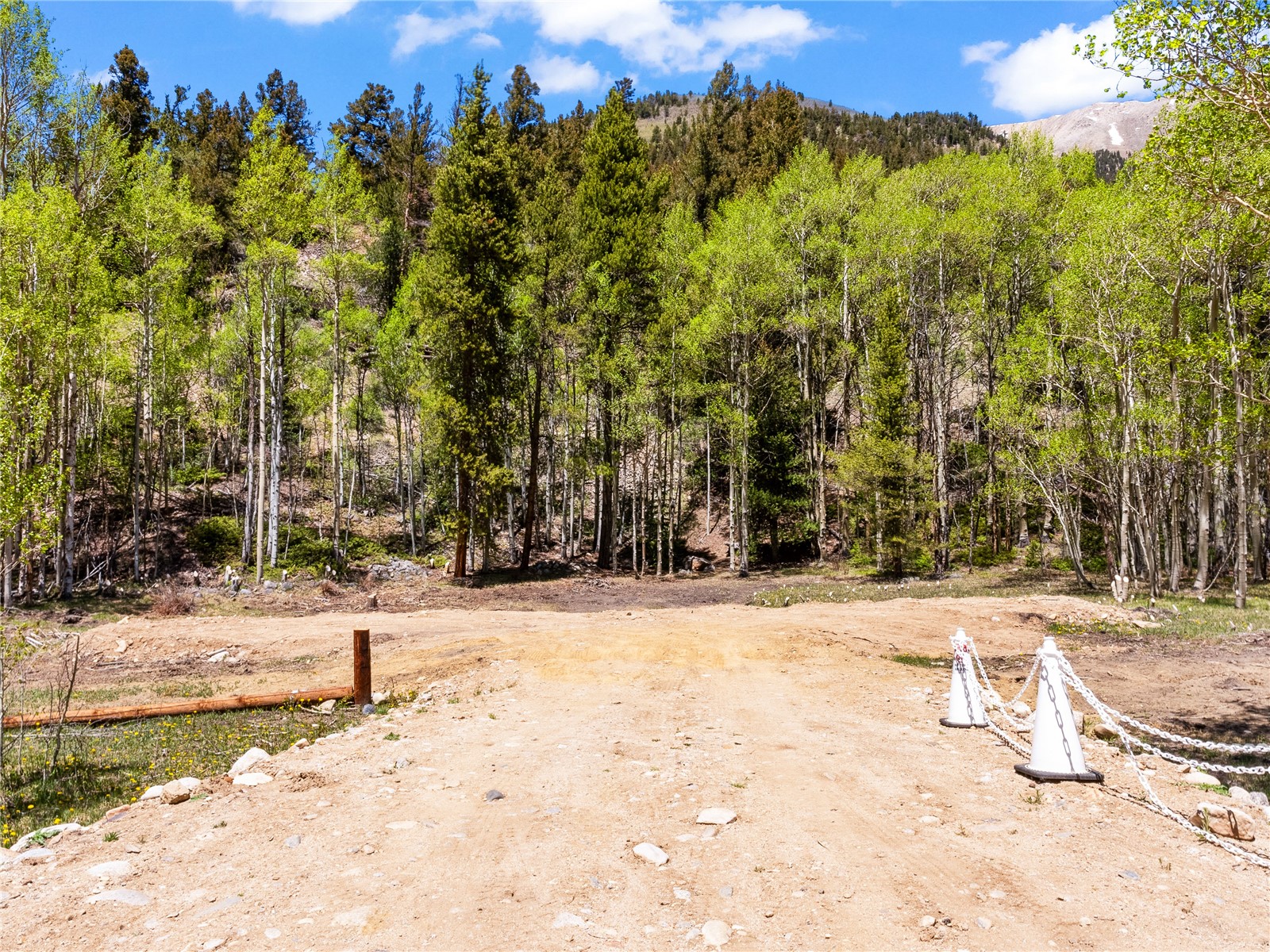 10575 Co-82 Twin Lakes CO 81251