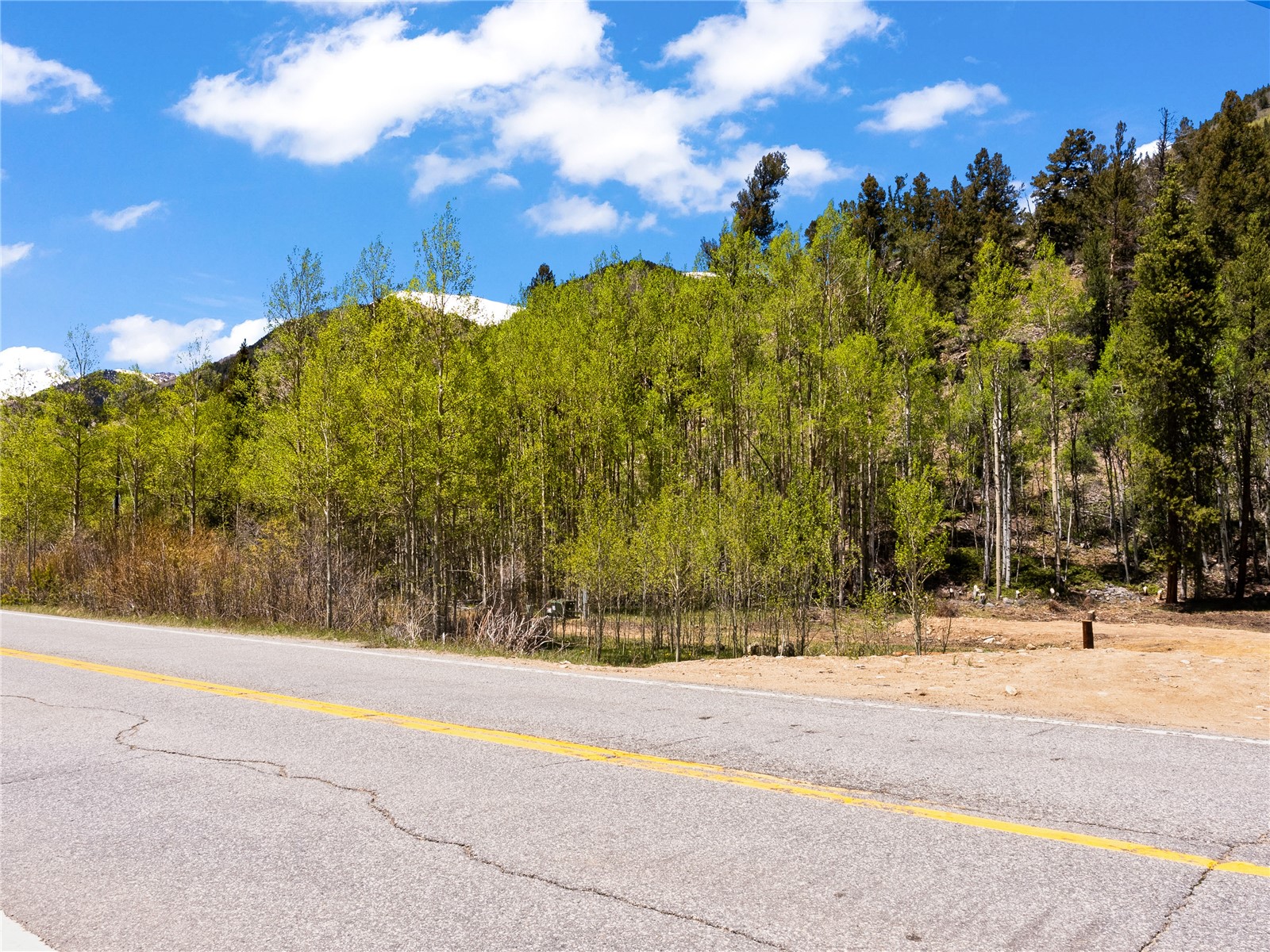 10575 Co-82 Twin Lakes CO 81251