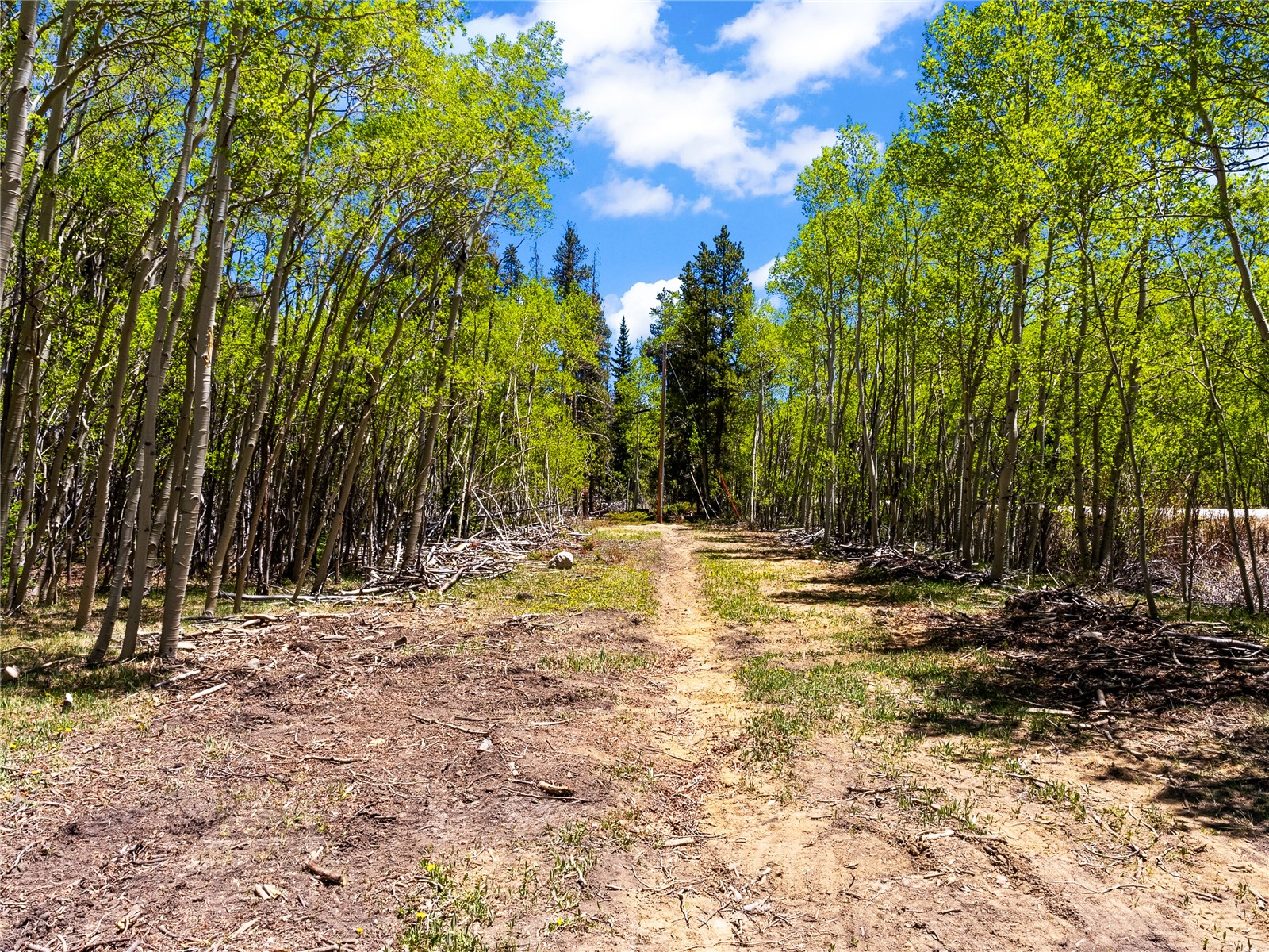 10575 Co-82 Twin Lakes CO 81251