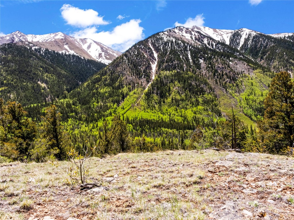 10575 Co-82 Twin Lakes CO 81251
