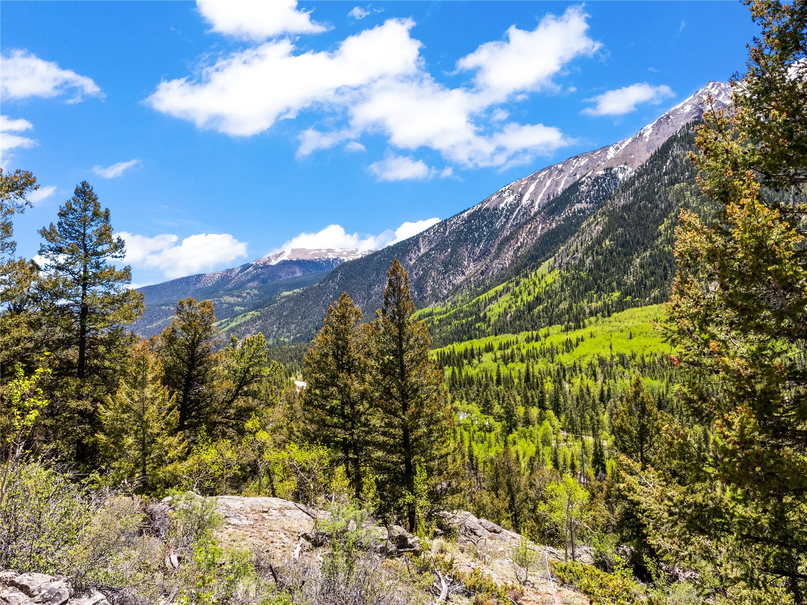 10575 Co-82 Twin Lakes CO 81251