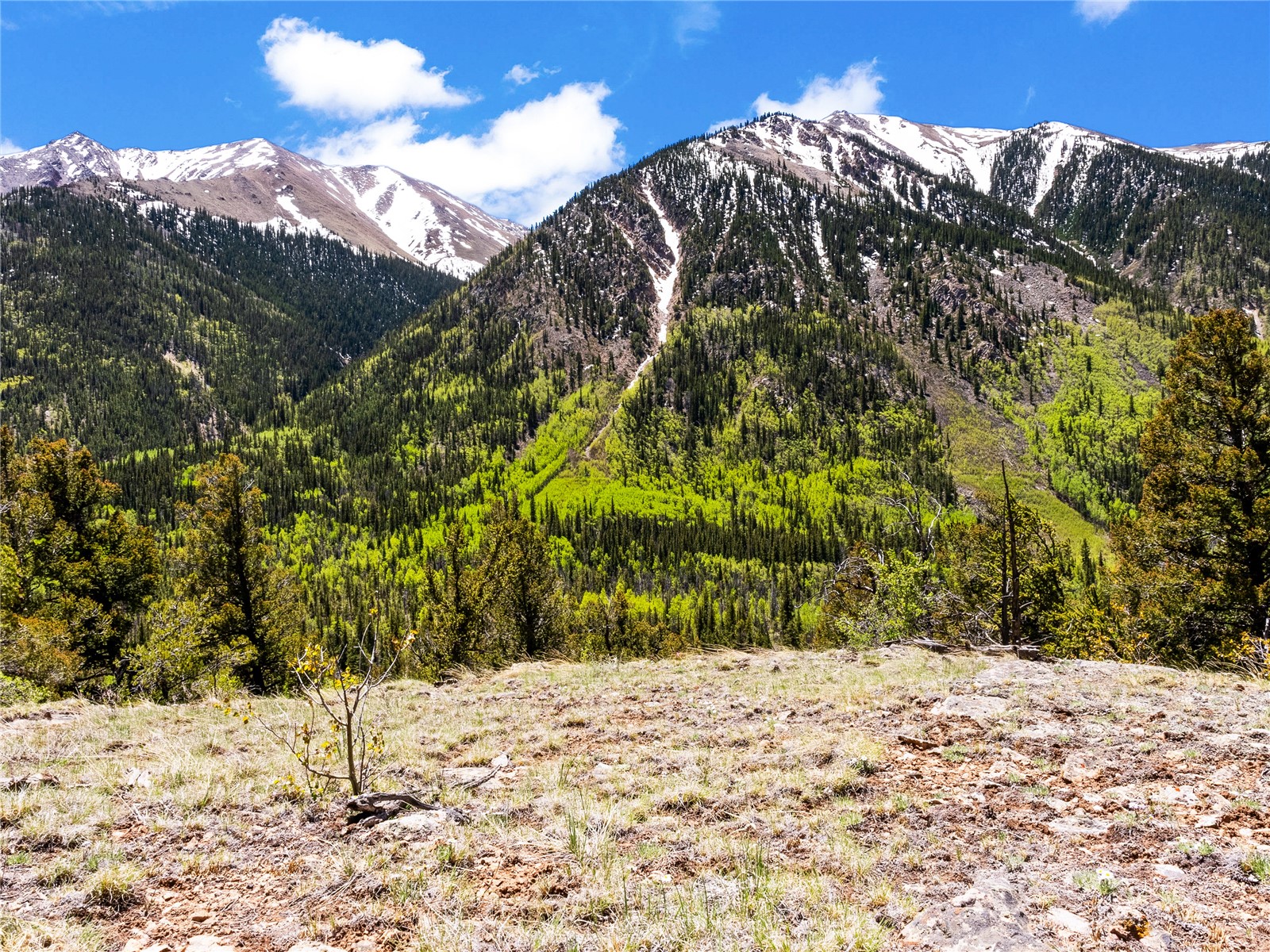10575 Co-82 Twin Lakes CO 81251