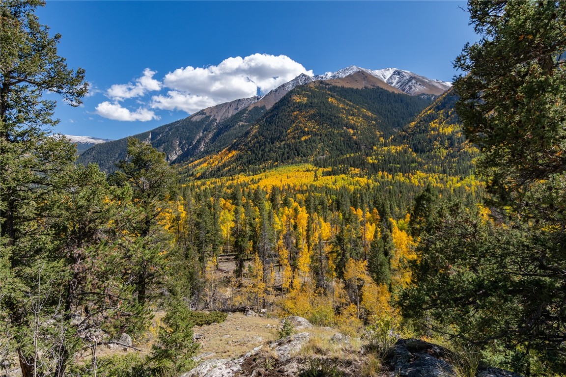 10575 Co-82 Twin Lakes CO 81251
