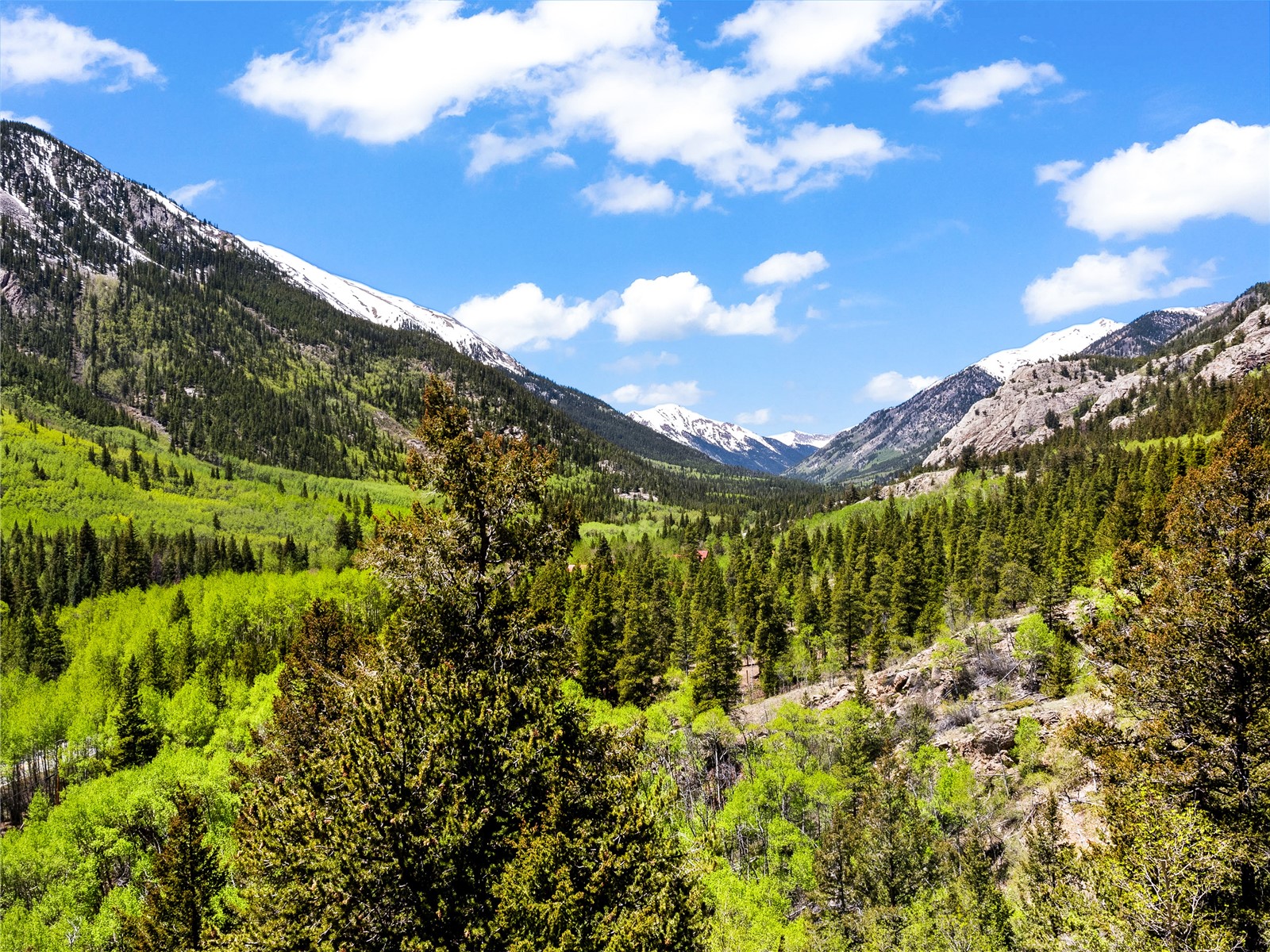 10575 Co-82 Twin Lakes CO 81251
