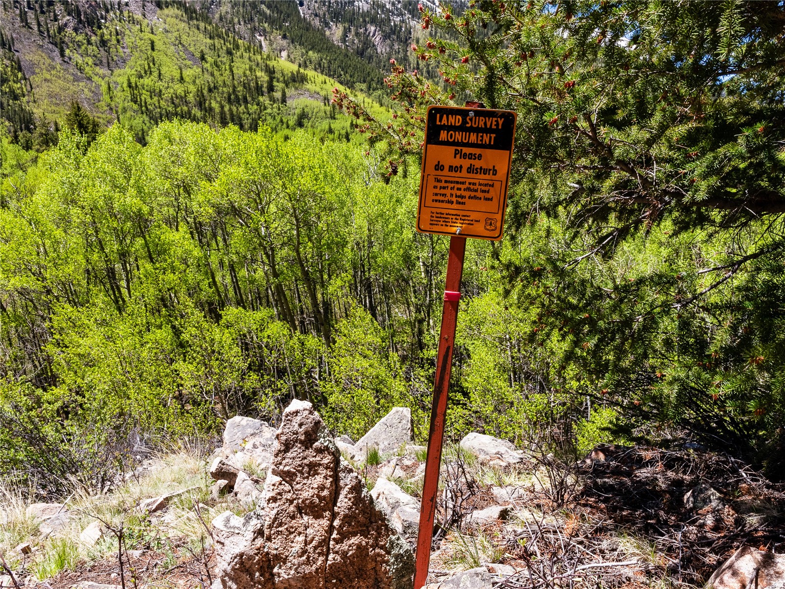 10575 Co-82 Twin Lakes CO 81251