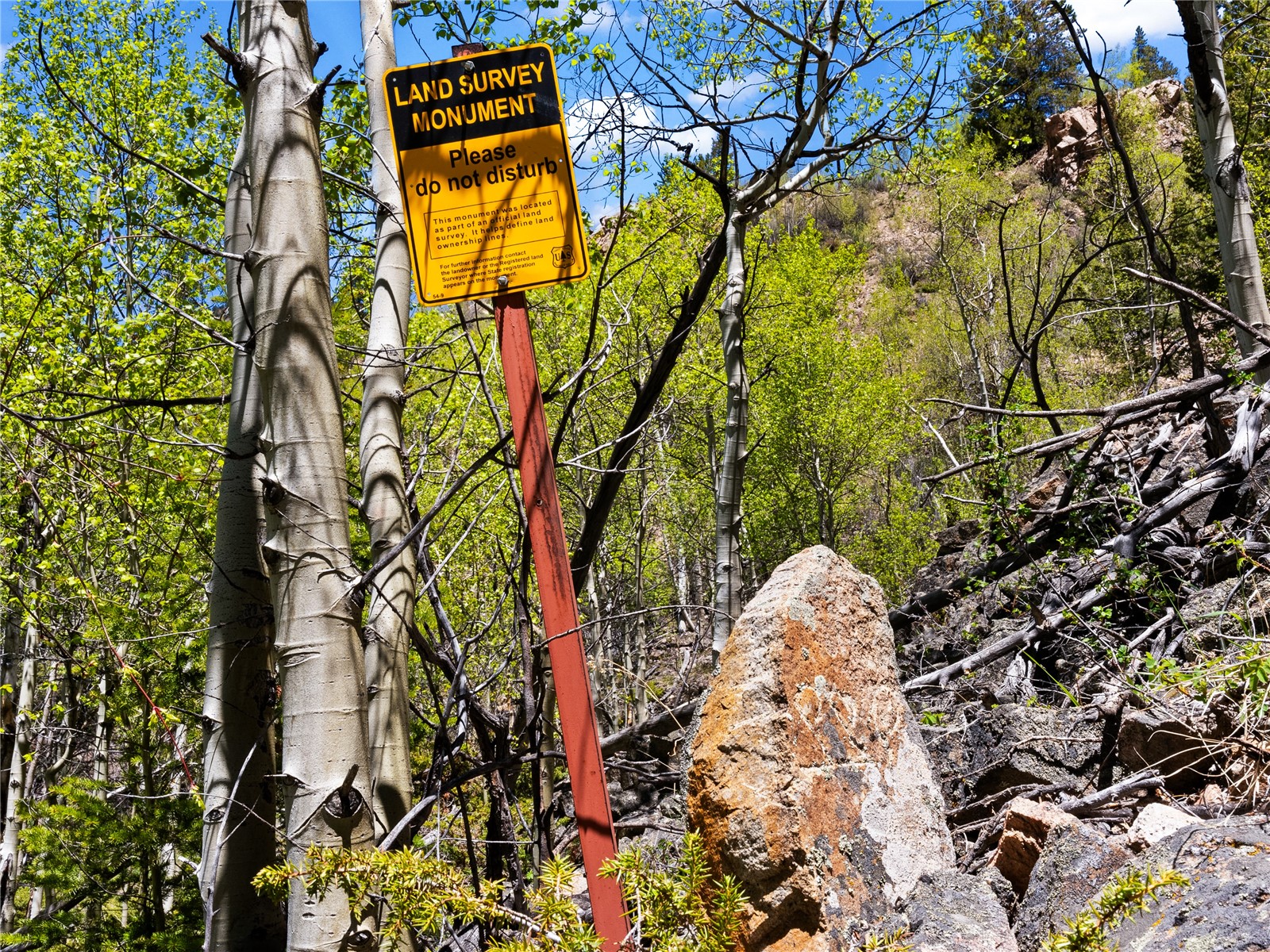 10575 Co-82 Twin Lakes CO 81251