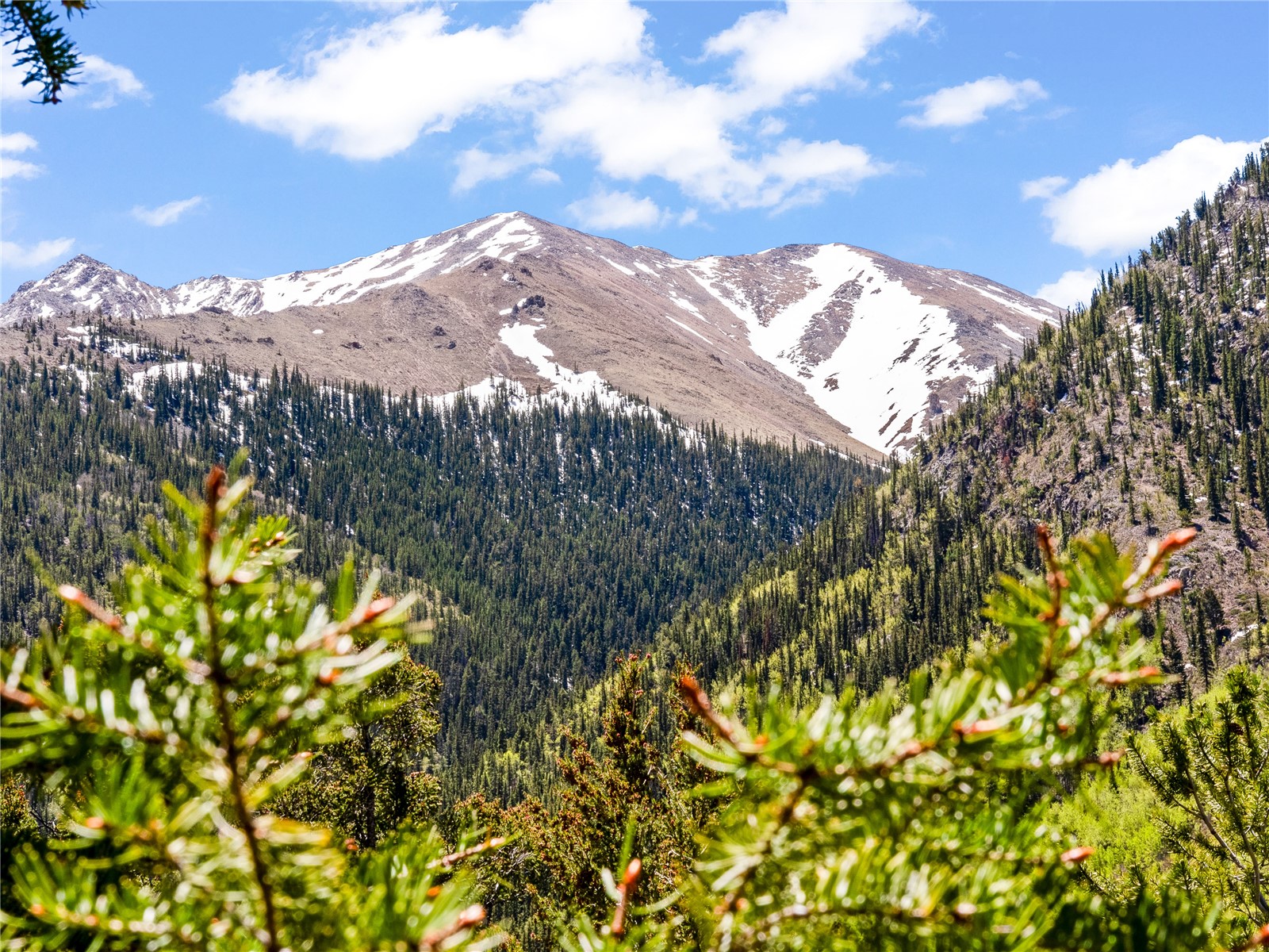 10575 Co-82 Twin Lakes CO 81251