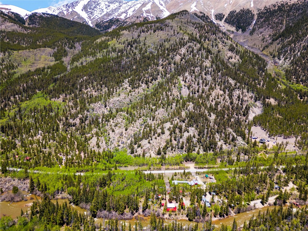 10575 Co-82 Twin Lakes CO 81251