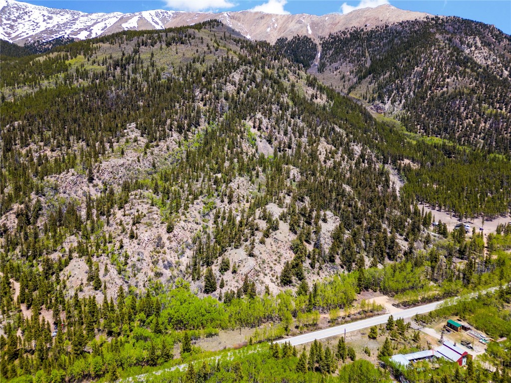 10575 Co-82 Twin Lakes CO 81251