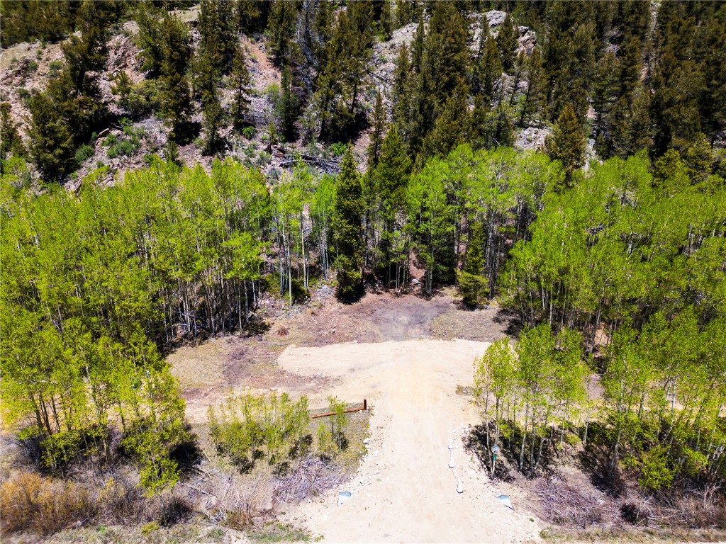 10575 Co-82 Twin Lakes CO 81251