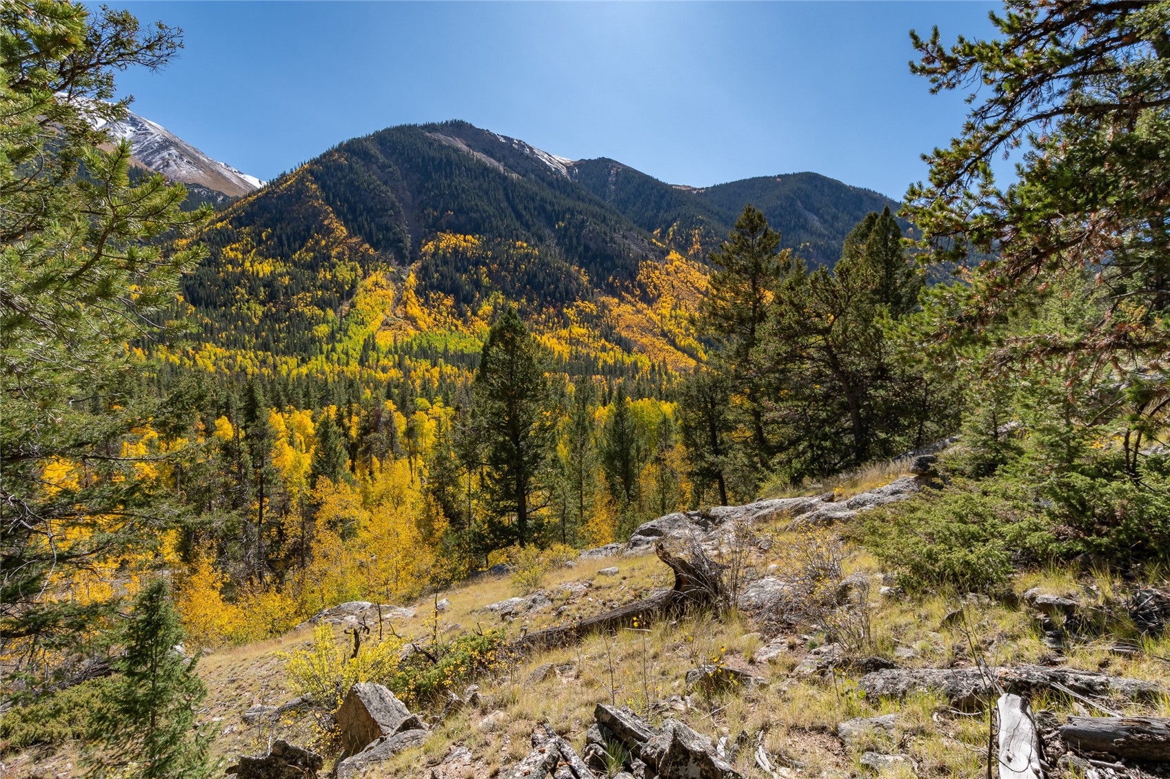 10575 Co-82 Twin Lakes CO 81251