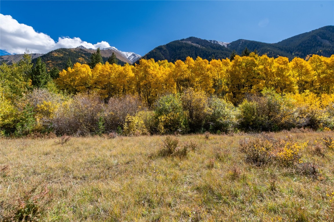 10575 Co-82 Twin Lakes CO 81251