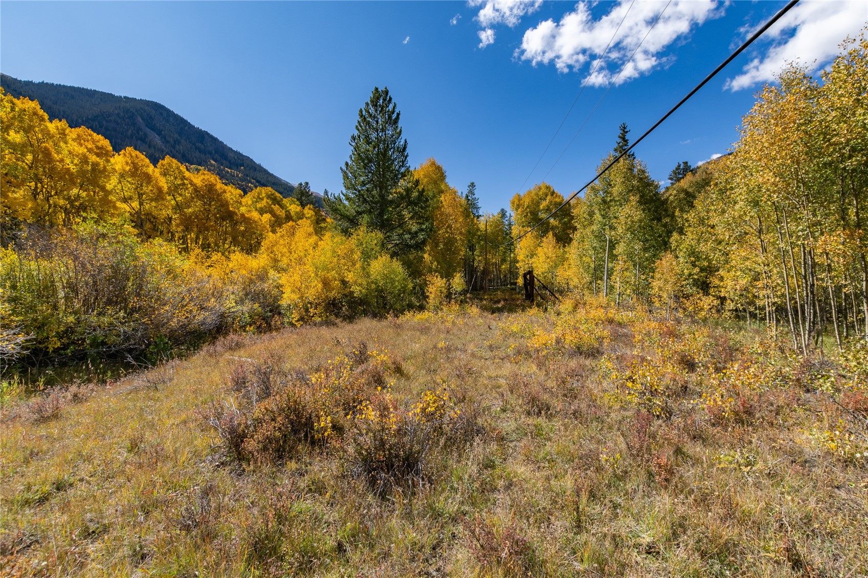 10575 Co-82 Twin Lakes CO 81251