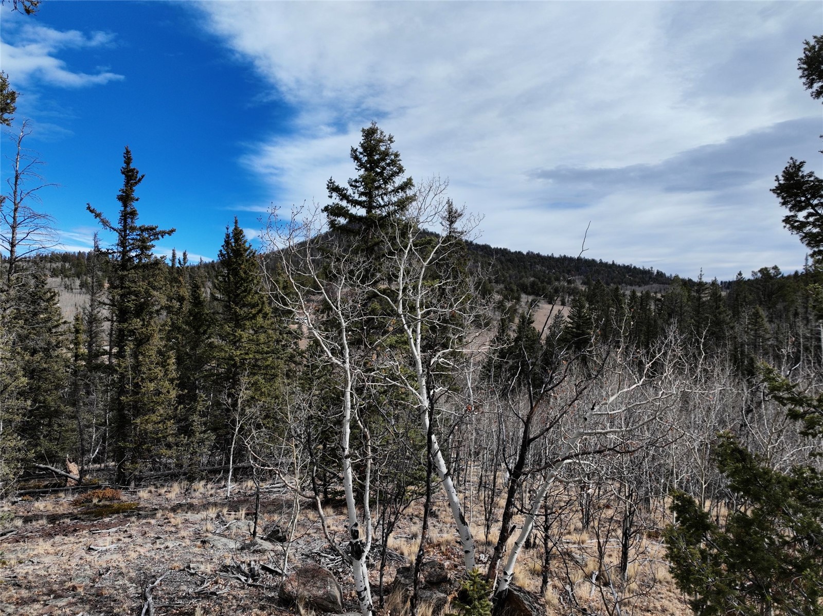 805 Longbow Drive Como CO 80432