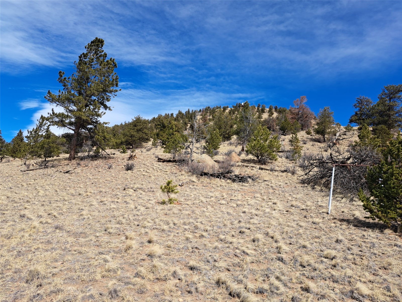 369 Summit Road Hartsel CO 80449