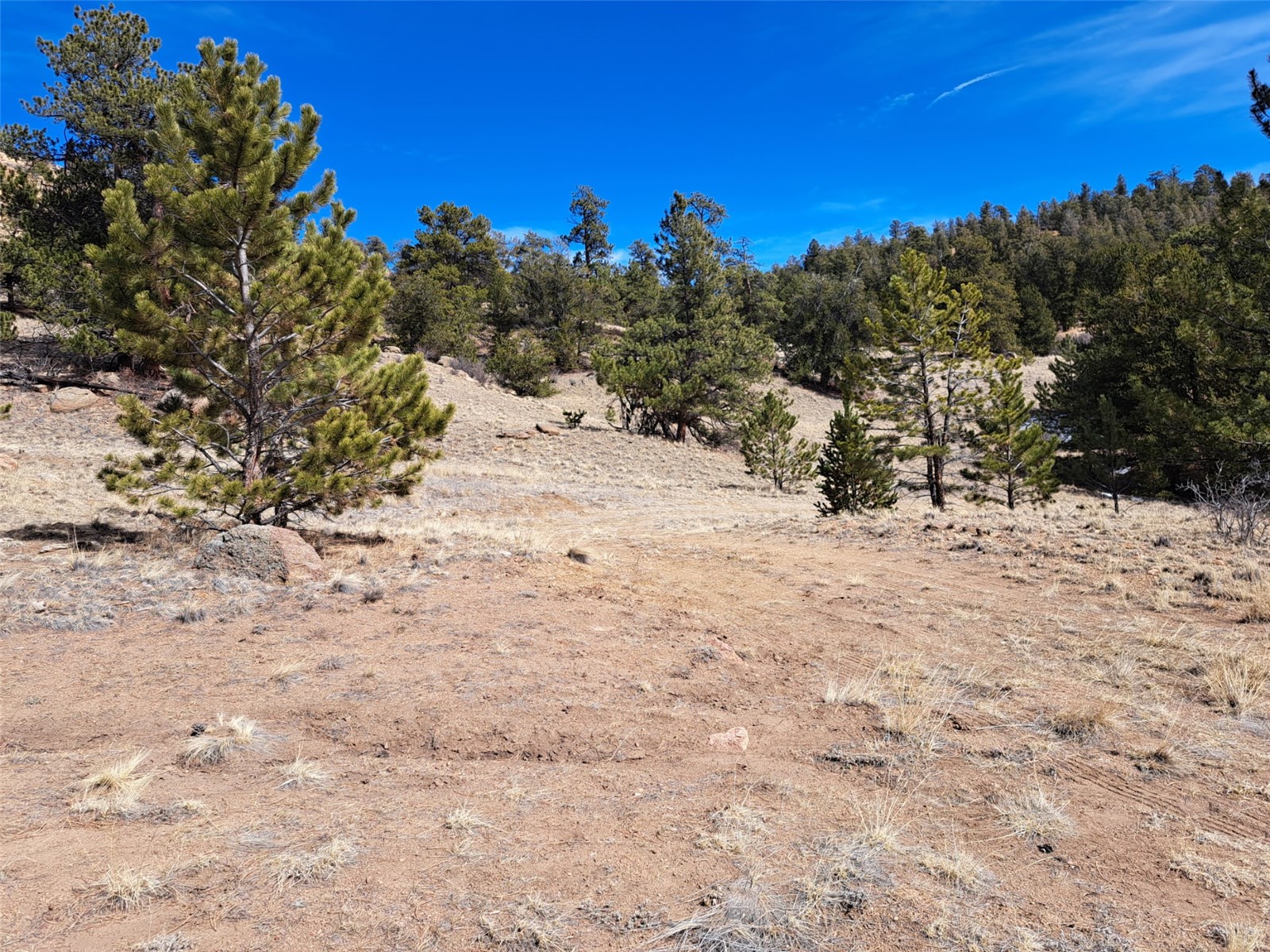 369 Summit Road Hartsel CO 80449