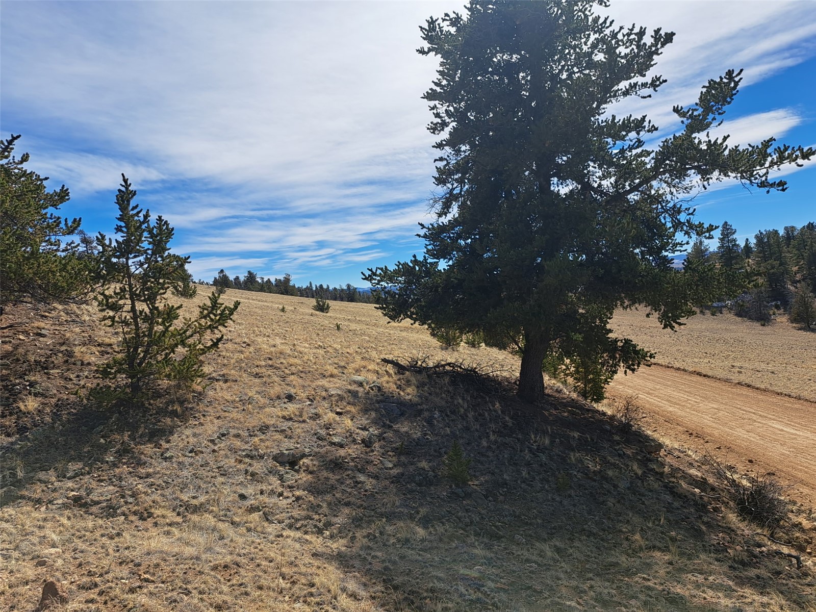 369 Summit Road Hartsel CO 80449