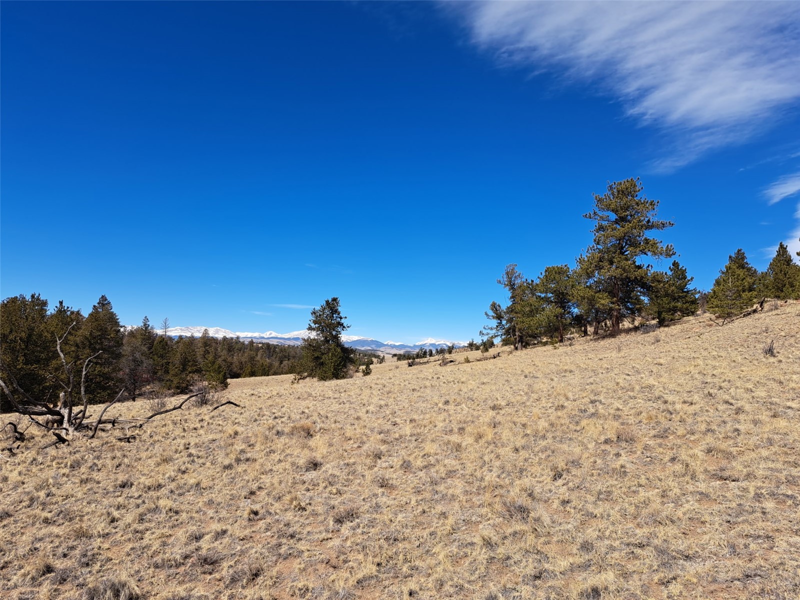 369 Summit Road Hartsel CO 80449