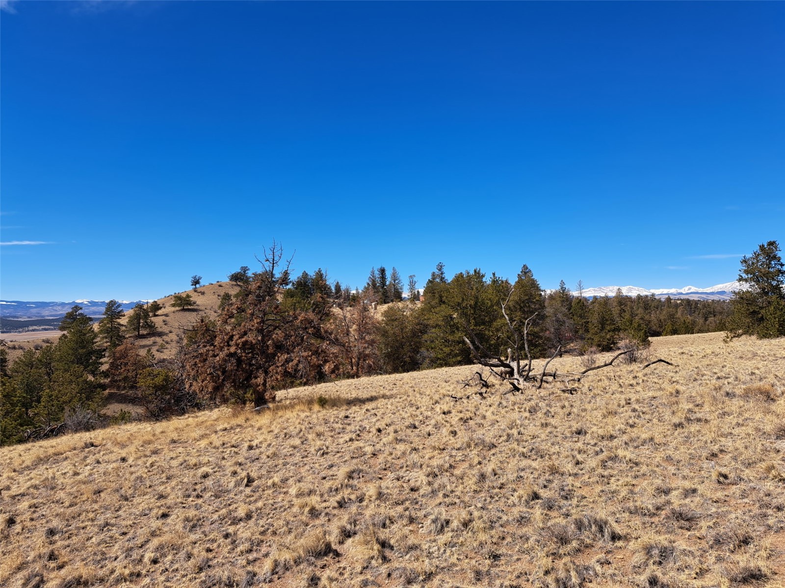 369 Summit Road Hartsel CO 80449