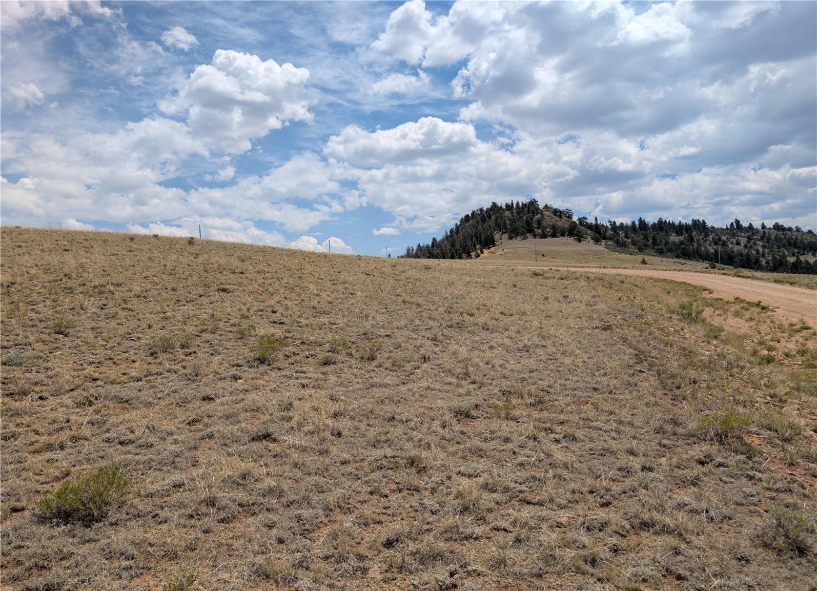 0 Coyotero Trail Hartsel CO 80449
