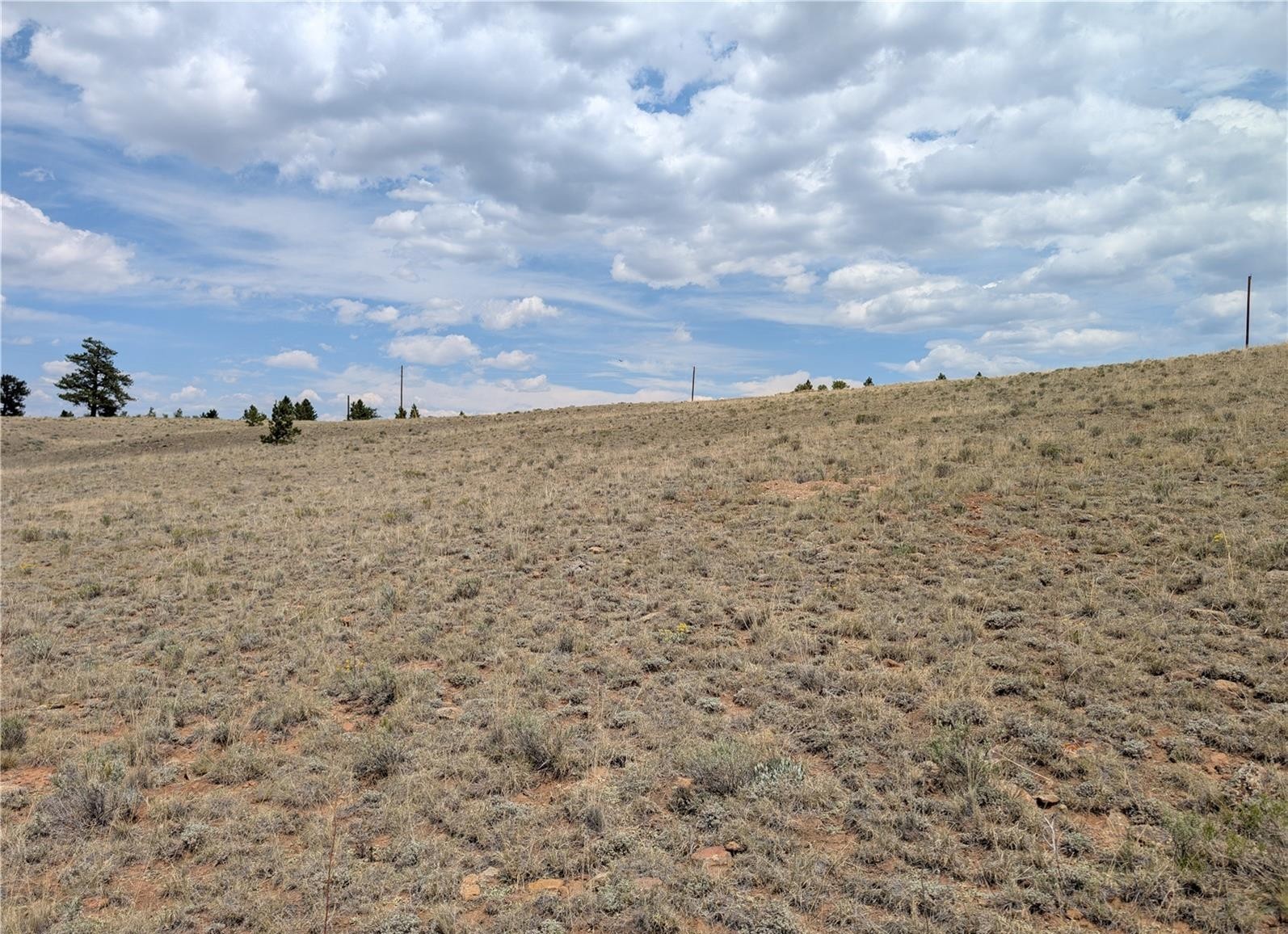 0 Coyotero Trail Hartsel CO 80449