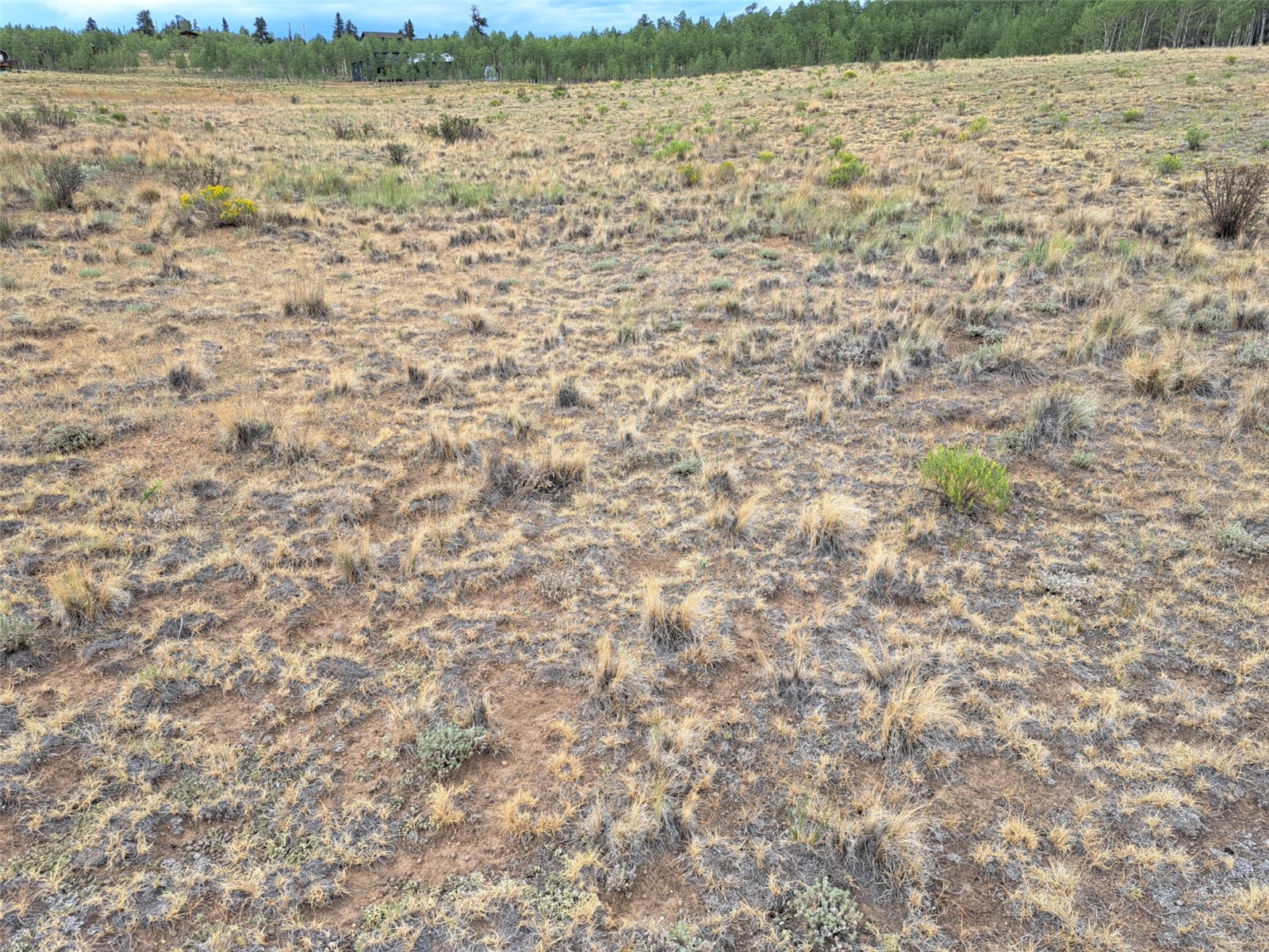 539 Mustang Trail Como CO 80432