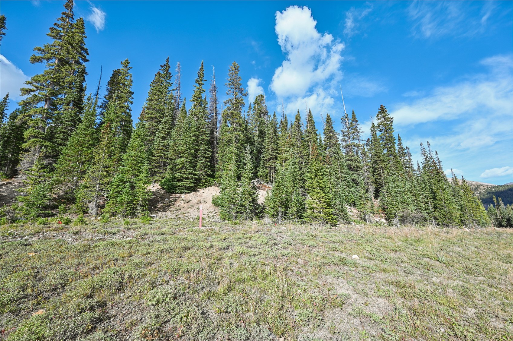 159 Hamilton Breckenridge CO 80424