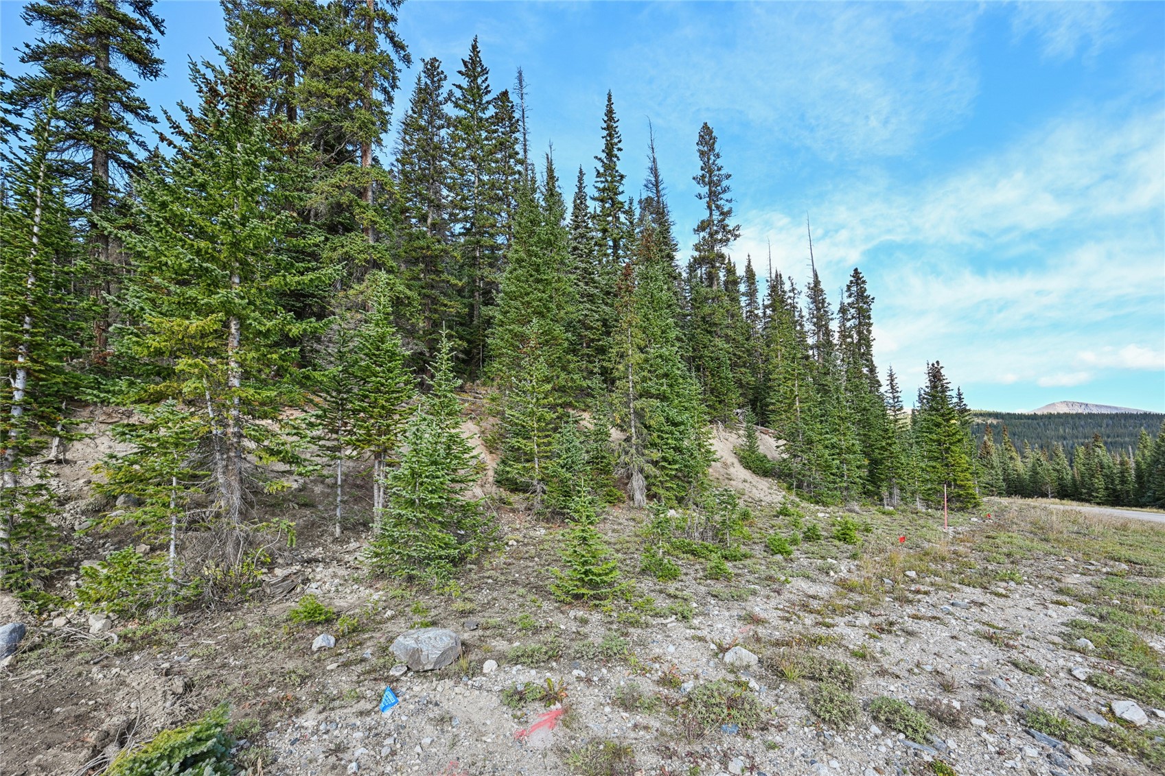 159 Hamilton Breckenridge CO 80424