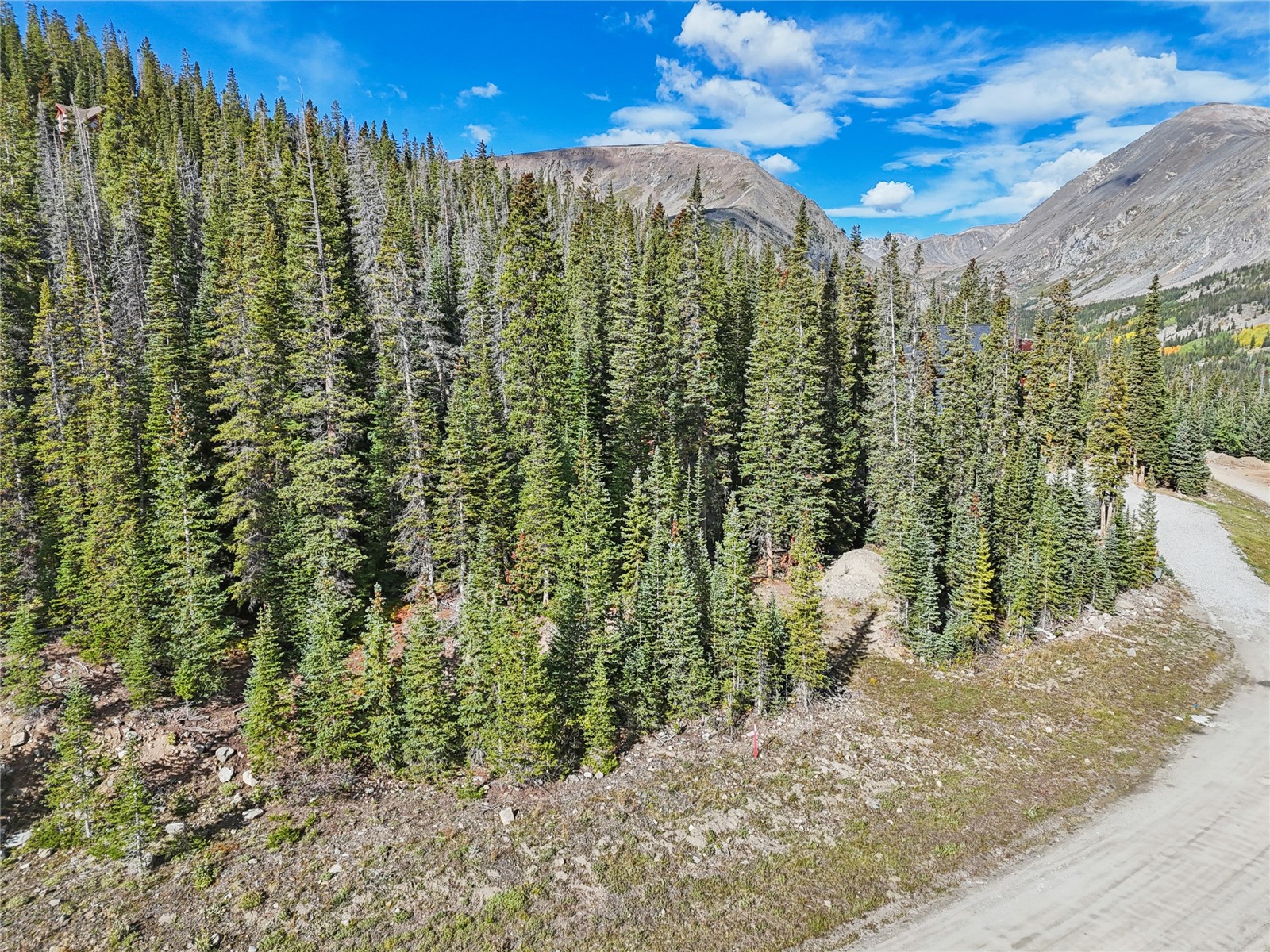 159 Hamilton Breckenridge CO 80424