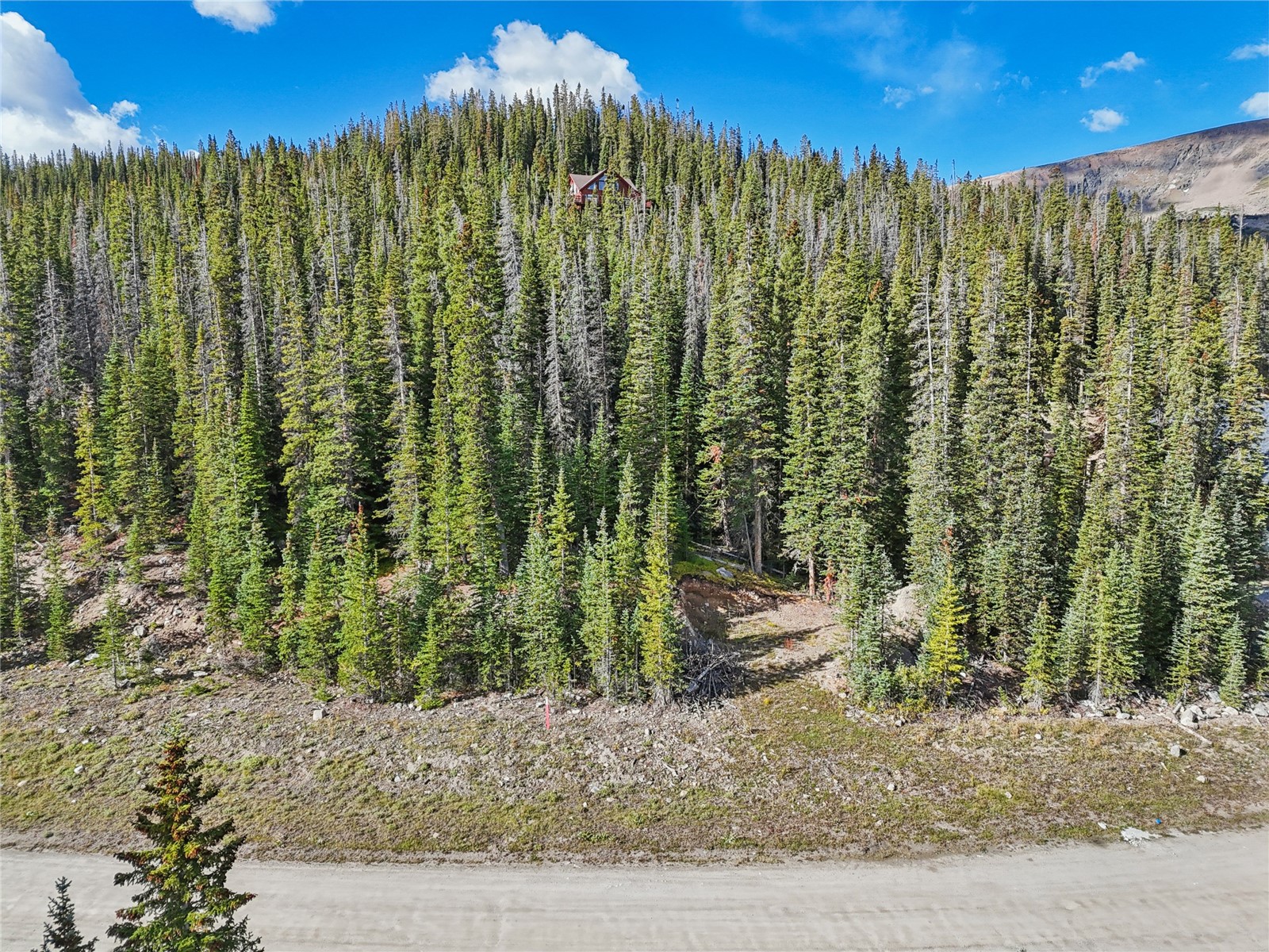 159 Hamilton Breckenridge CO 80424